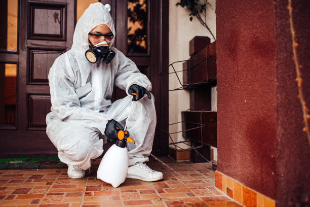 Reliable Wasp Removal contractor in Stroudsburg, PA by Show Me Pest Control